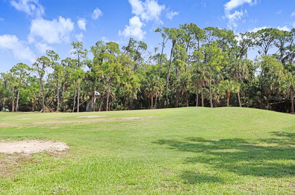 Image 7 of 42 For 8251 Tea Olive Terrace