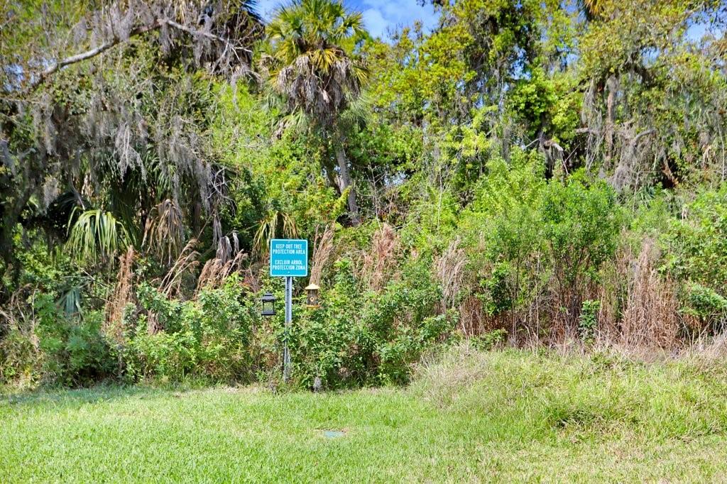 Image 8 of 42 For 8251 Tea Olive Terrace