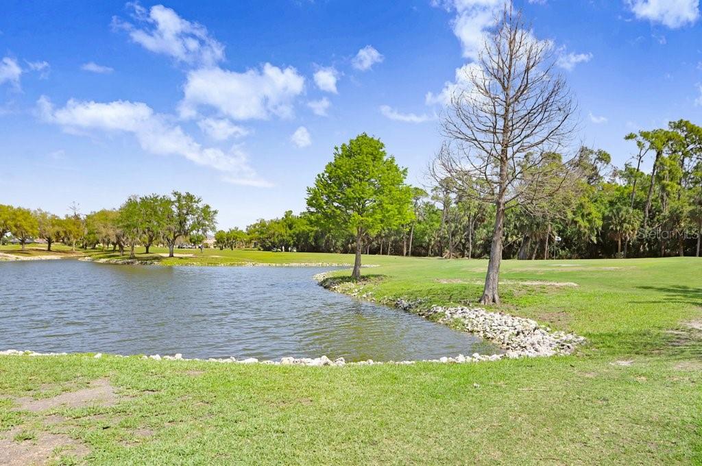 Image 9 of 42 For 8251 Tea Olive Terrace