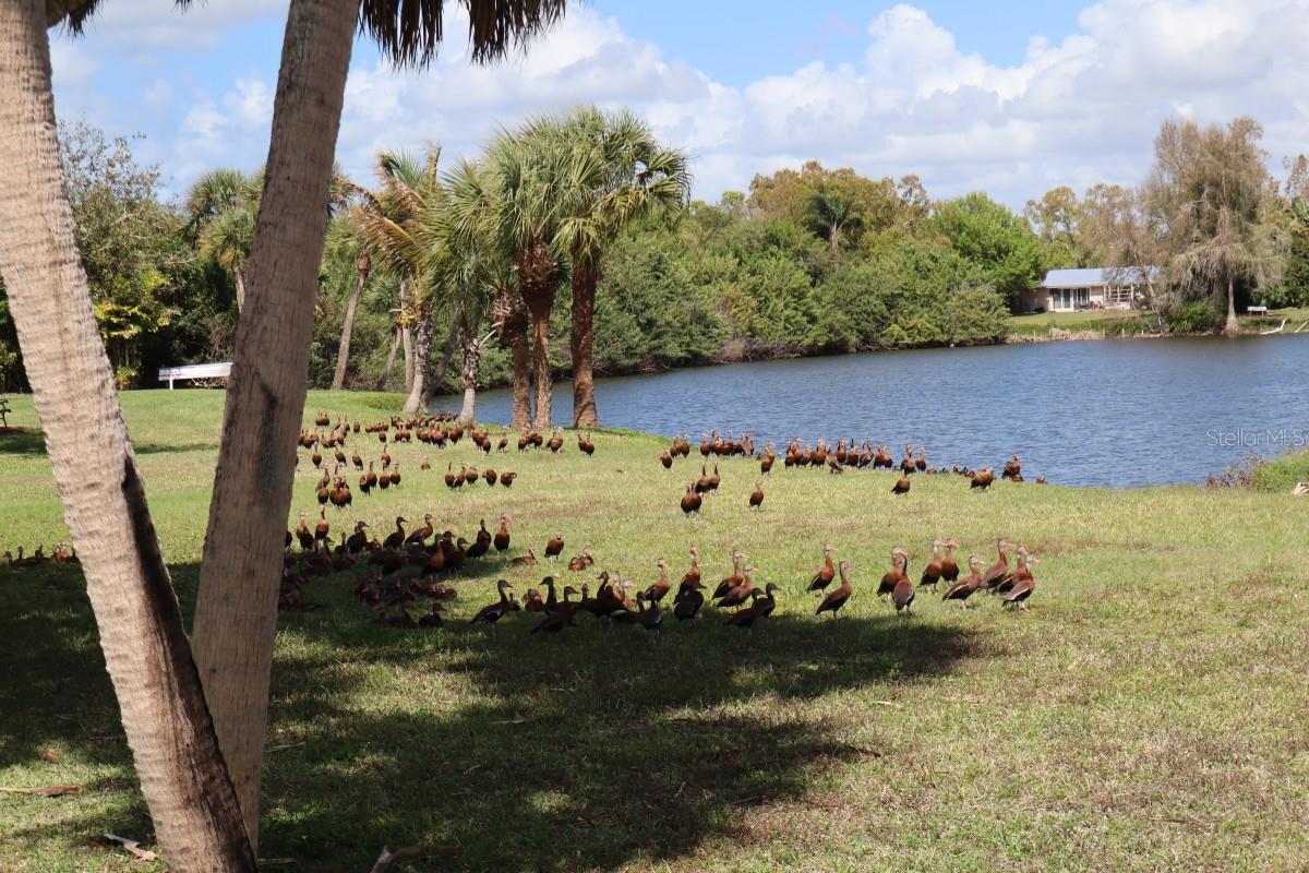 Image 2 of 24 For 880 Van Gogh Road