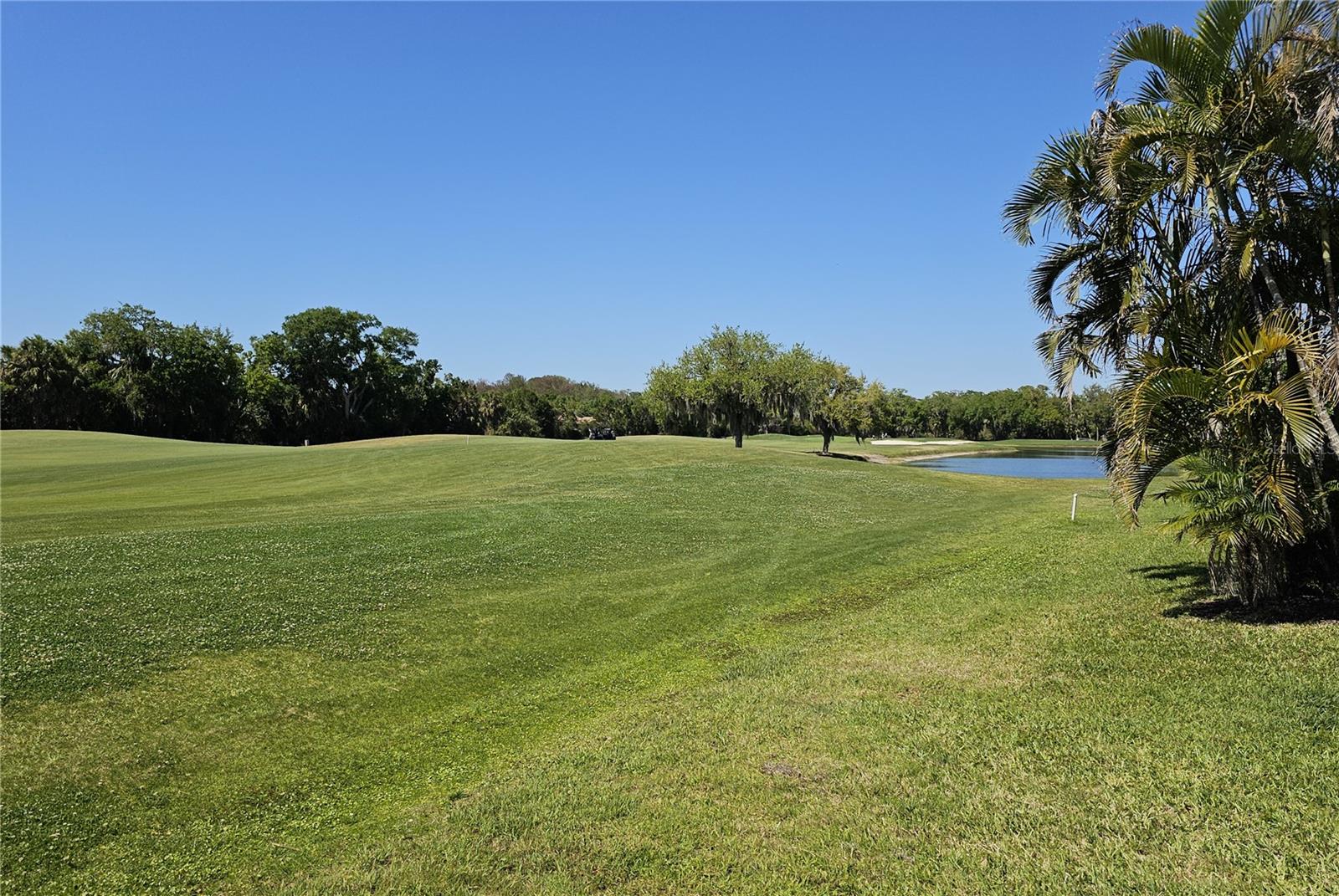 Image 66 of 67 For 566 Planters Manor Way