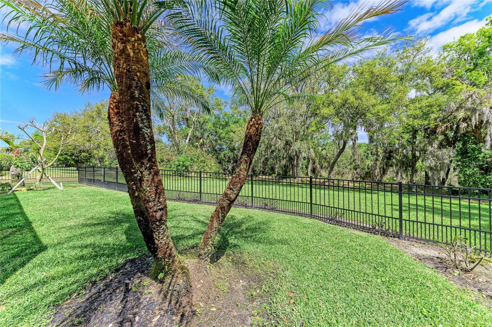 Image 58 of 74 For 2337 Little Country Road