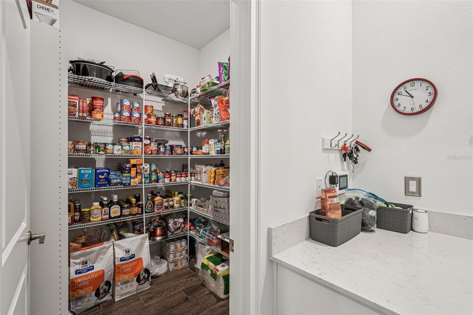 Image 15 of 69 For 12847 Bergstrom Bay Drive