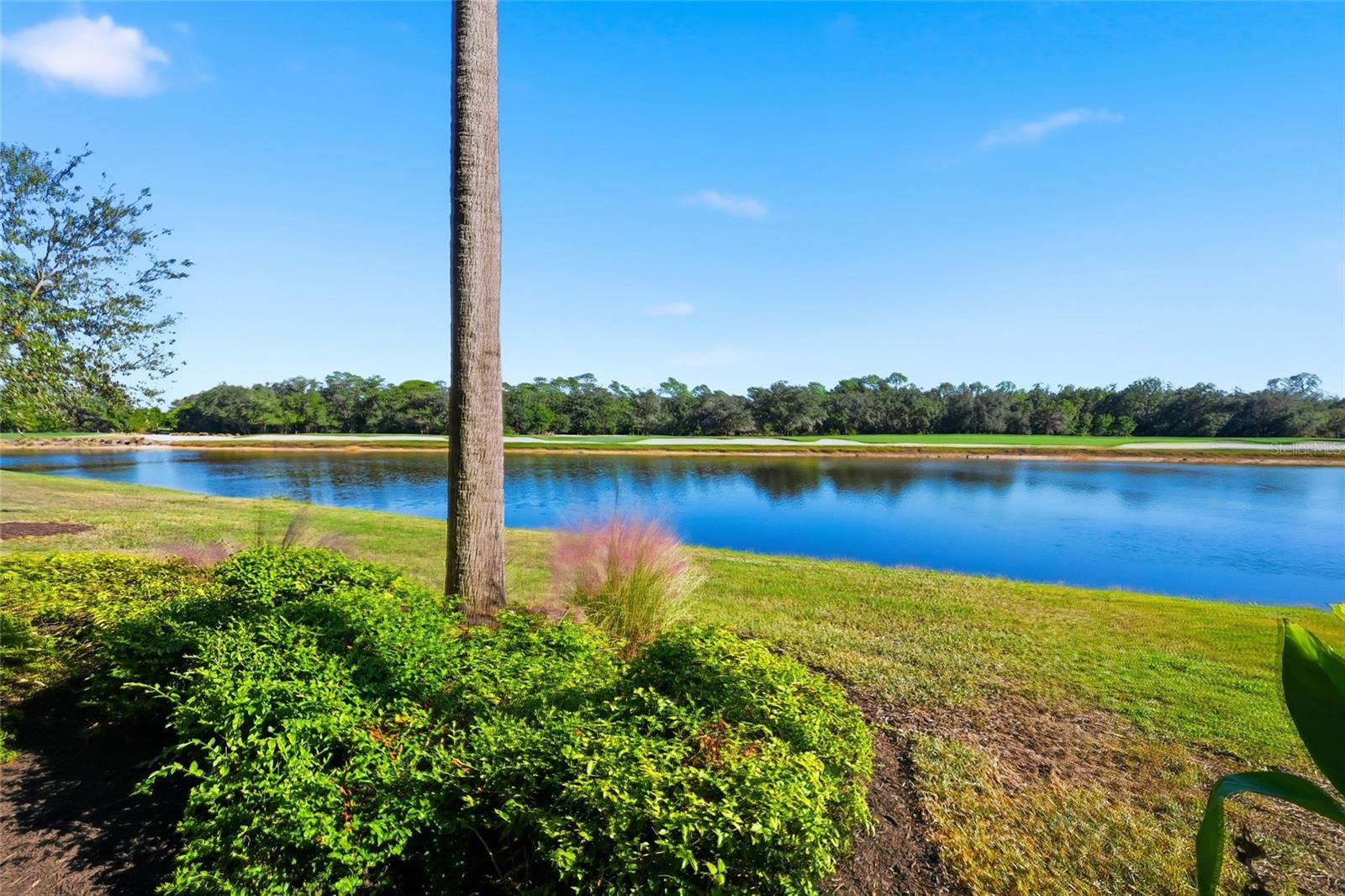 Image 20 of 63 For 17108 Vardon Terrace 103