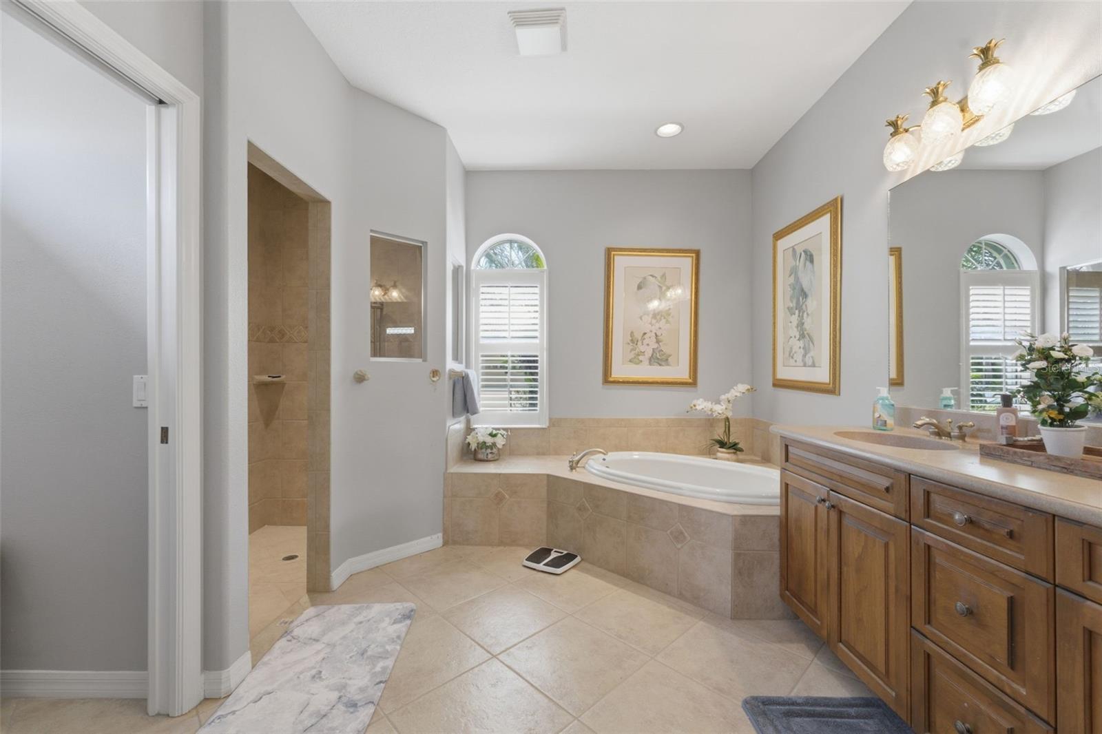 Image 19 of 28 For 5464 White Ibis Drive