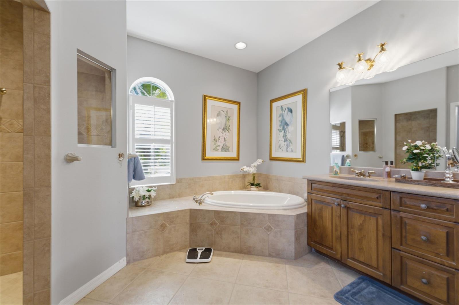 Image 21 of 28 For 5464 White Ibis Drive