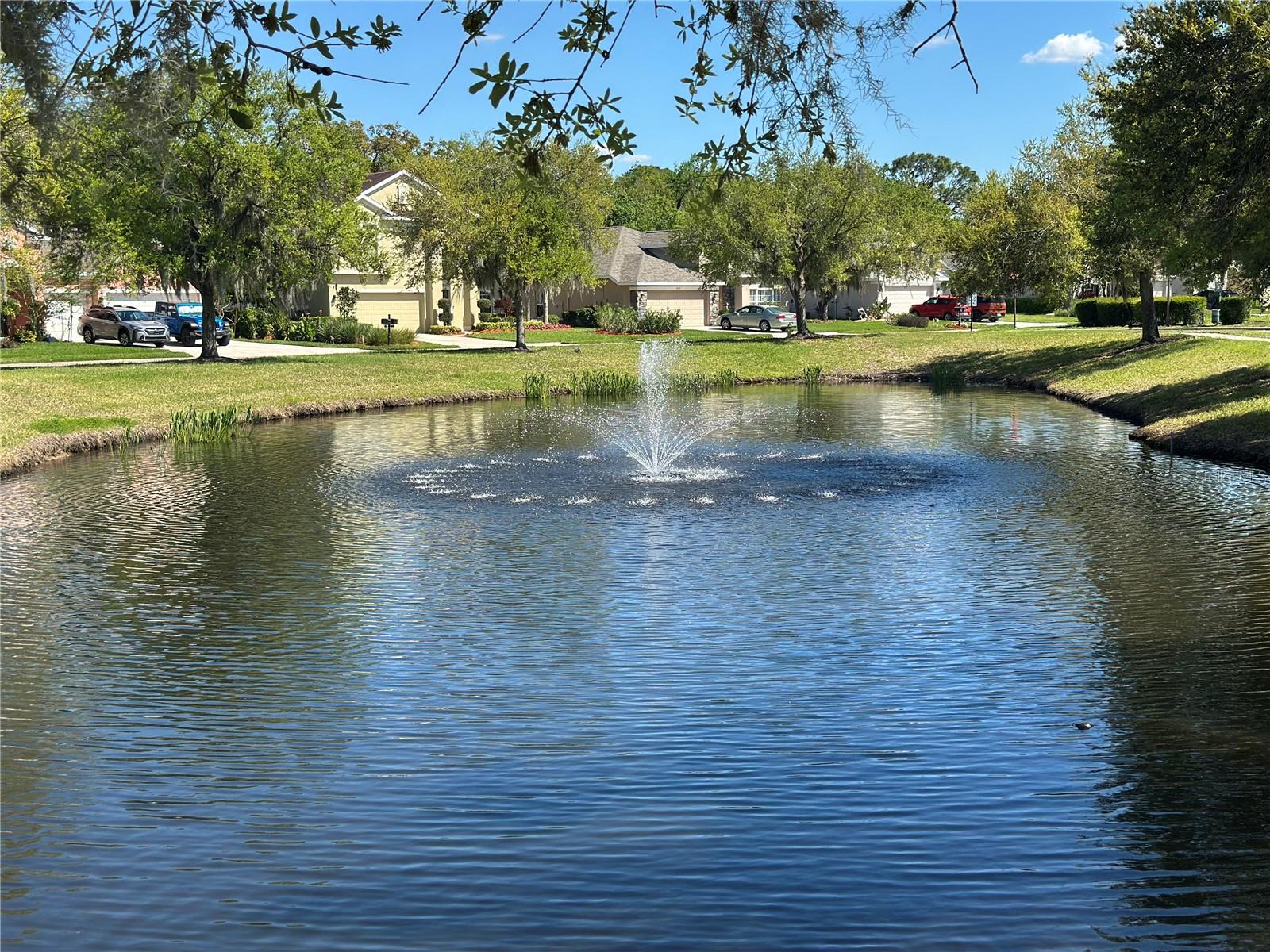 Image 34 of 47 For 10848 79th Street E