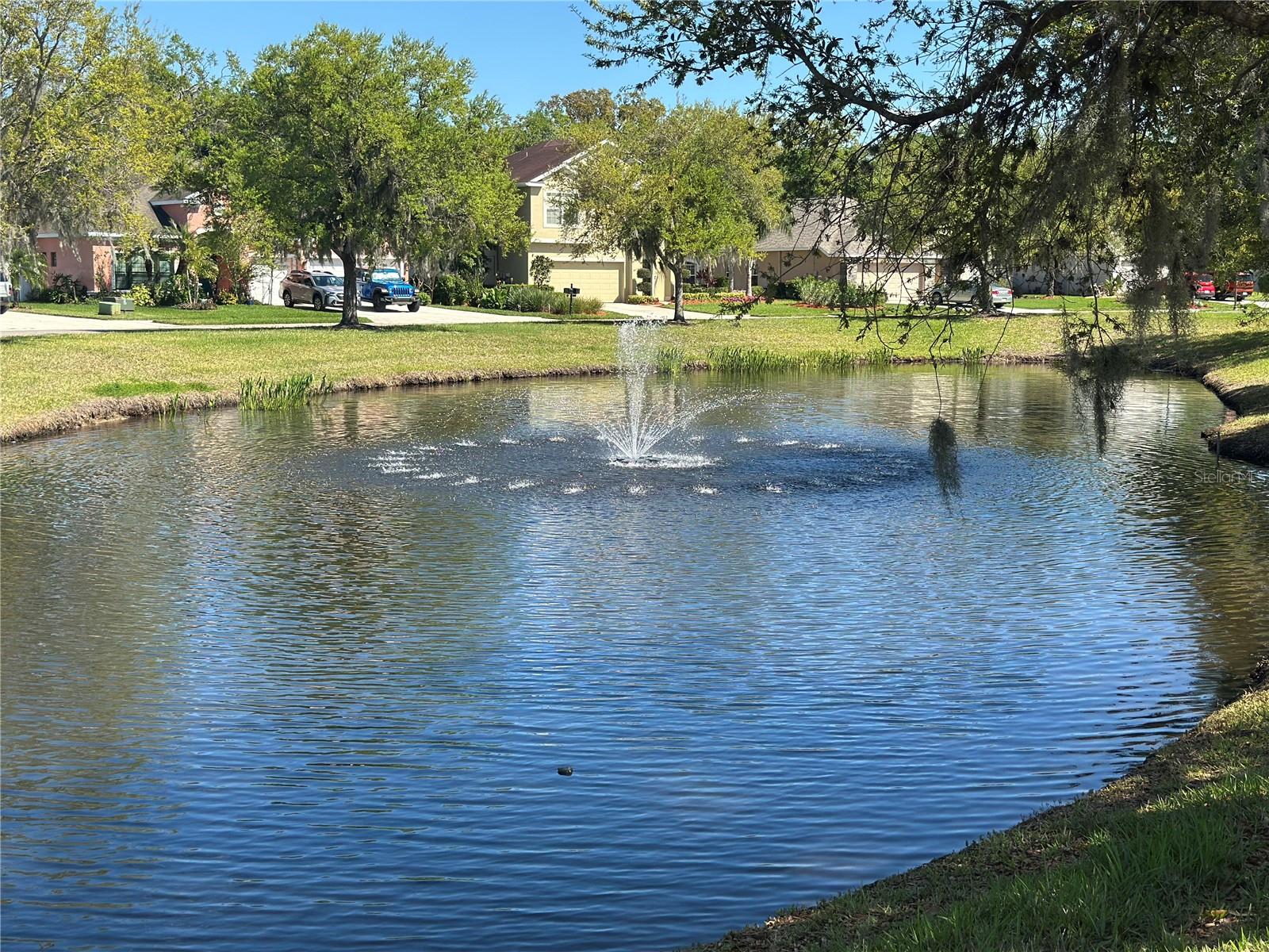 Image 35 of 47 For 10848 79th Street E