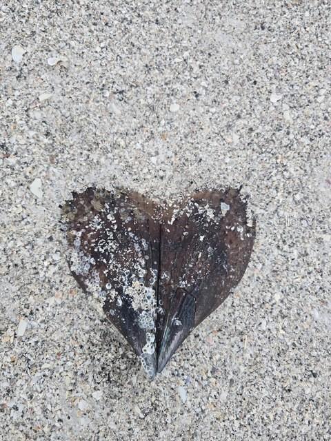 Image 77 of 81 For 403 63rd Street