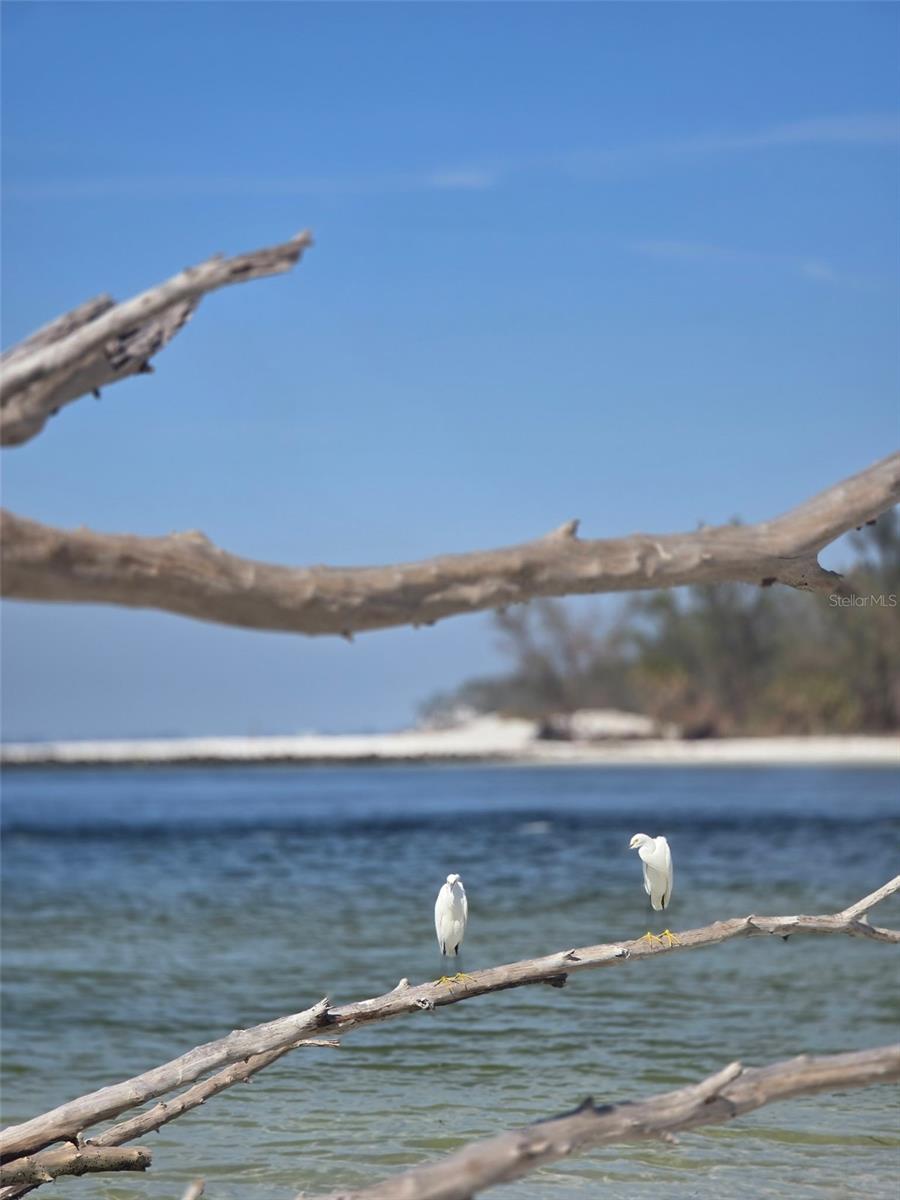 Image 79 of 81 For 403 63rd Street