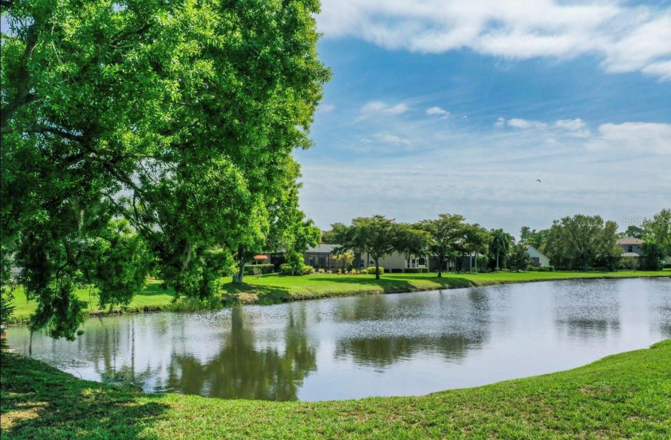 Image 5 of 35 For 7407 Pine Valley Street