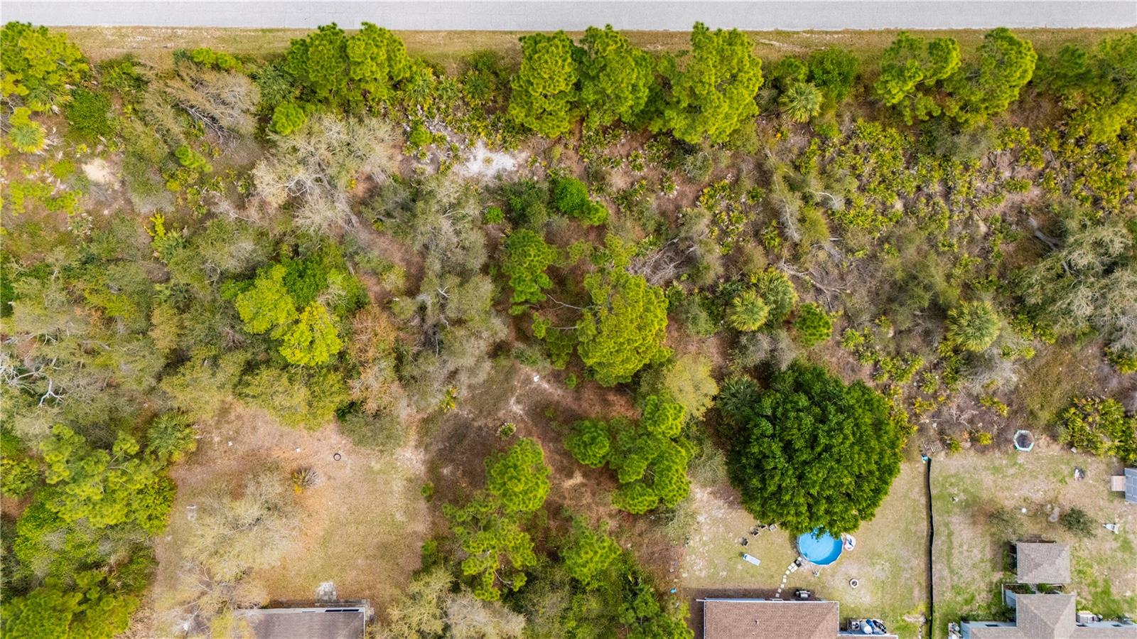 Image 11 of 16 For  Paigo Lane 