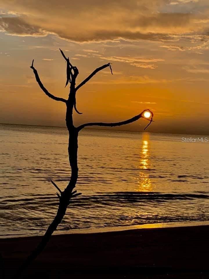 Image 27 of 28 For 18884 Lanuvio Street