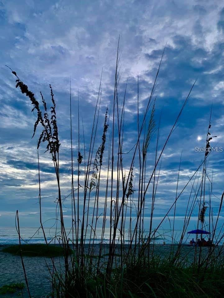 Image 28 of 28 For 18884 Lanuvio Street