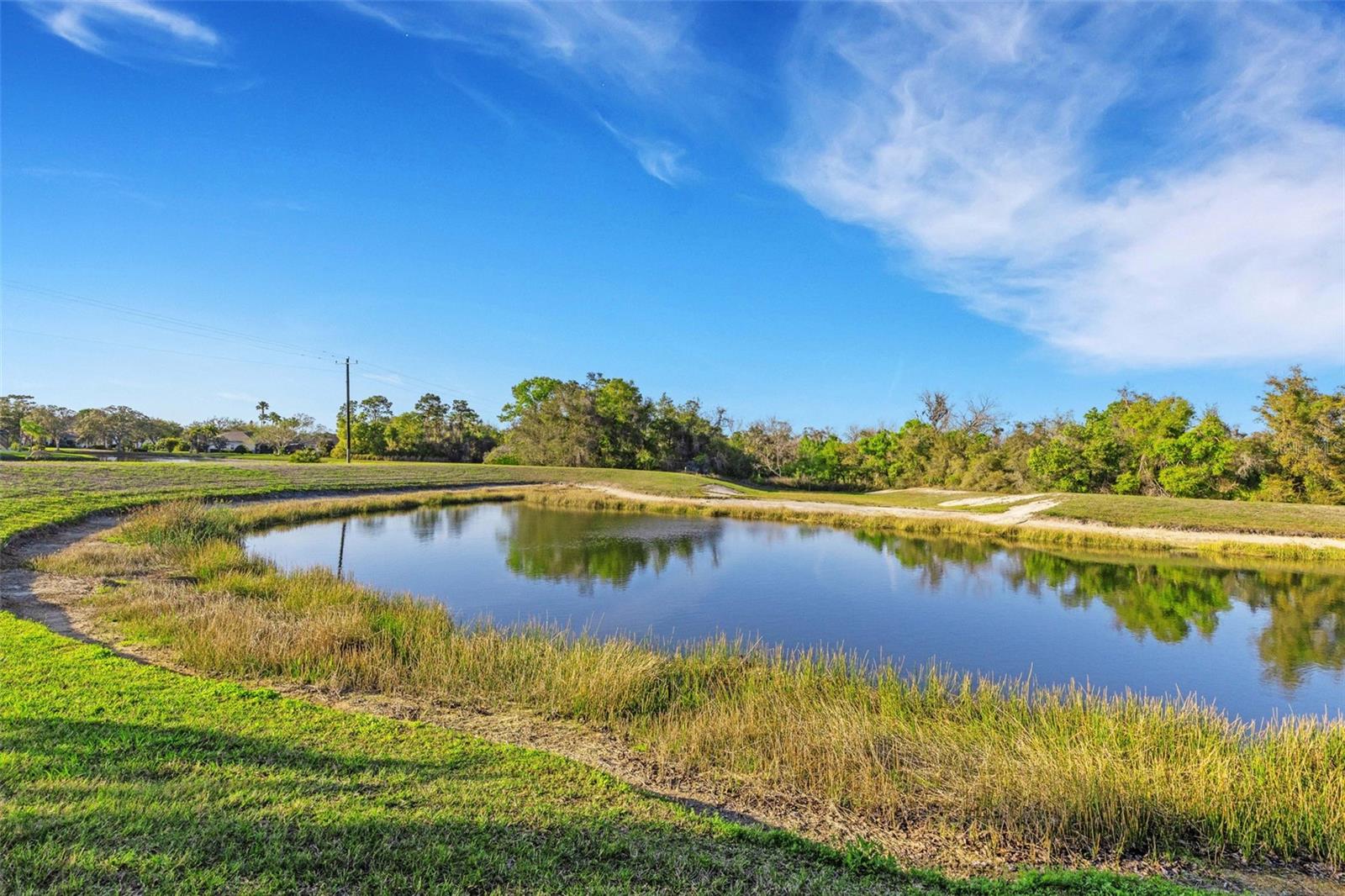 Image 7 of 80 For 11011 Hyacinth Place