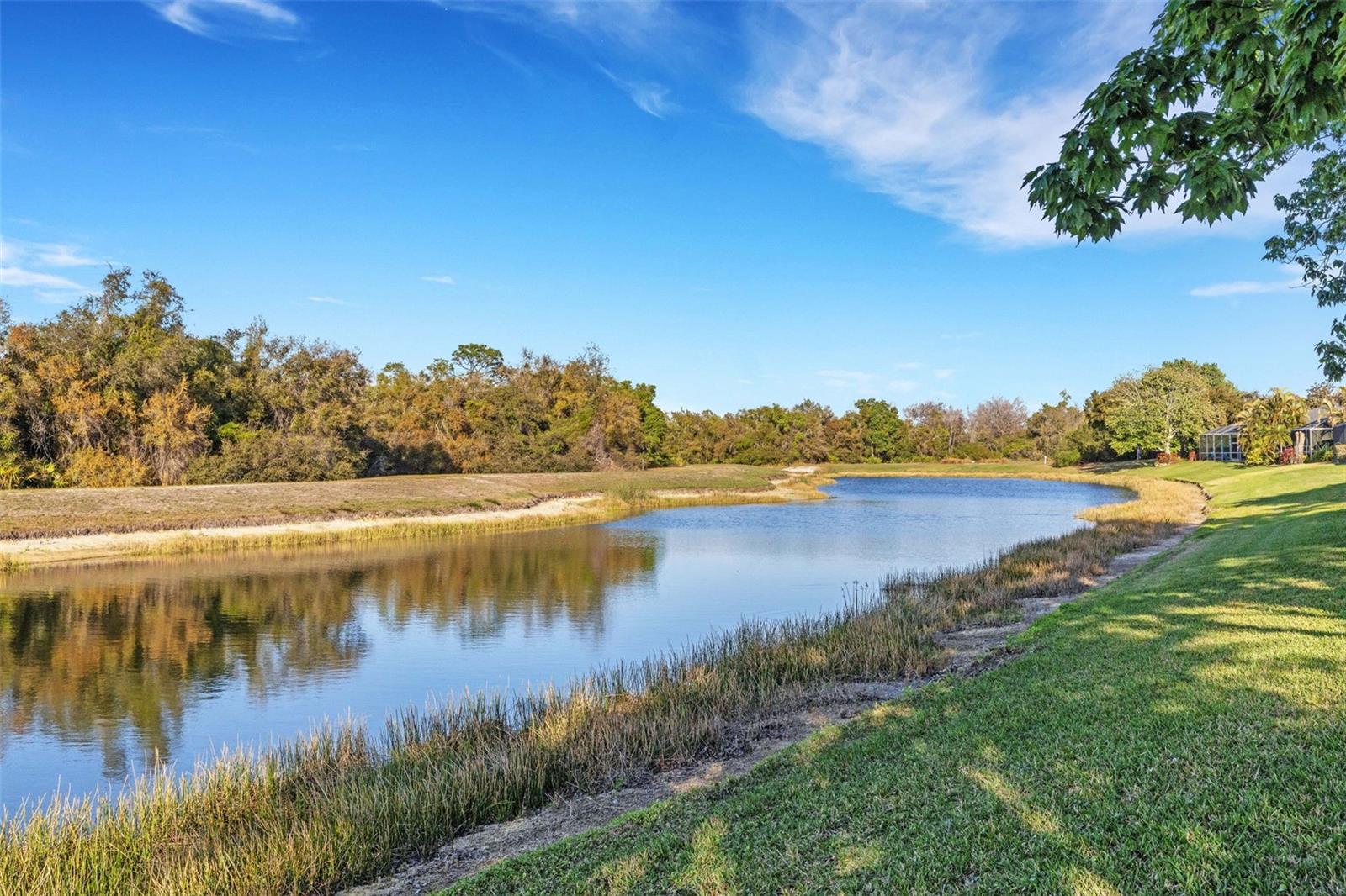 Image 8 of 80 For 11011 Hyacinth Place