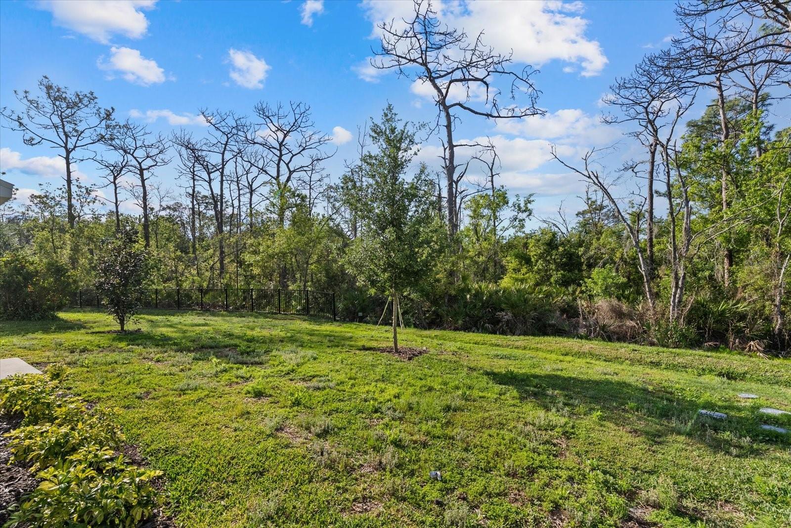 Image 24 of 31 For 13925 Lilac Sky Terrace