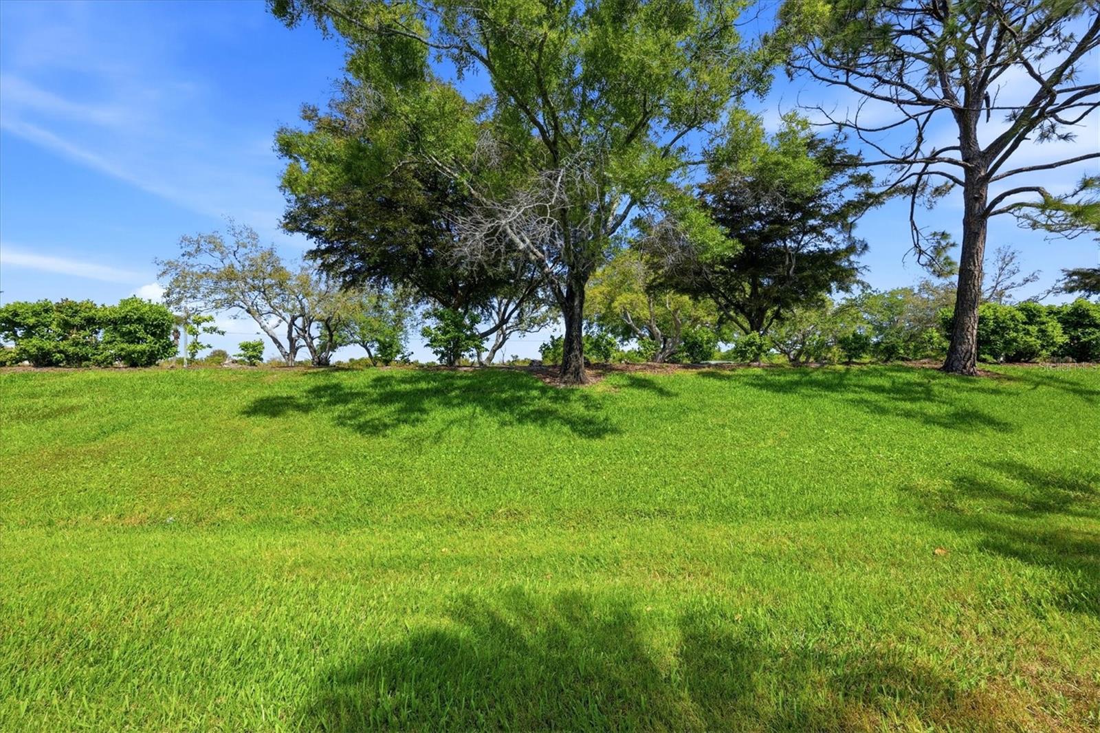 Image 34 of 55 For 4921 Thames Lane