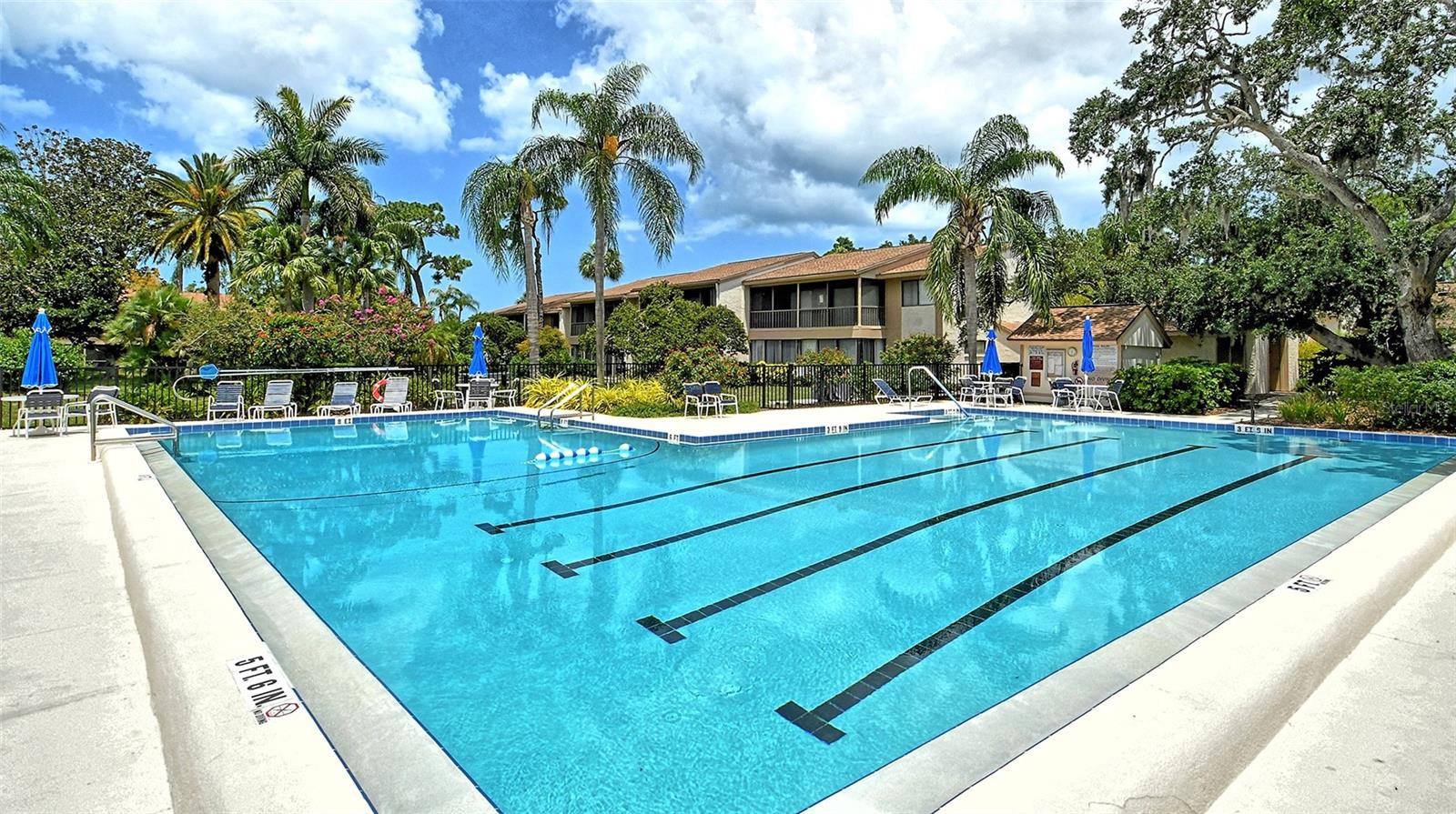 Image 36 of 98 For 712 White Pine Tree Road 77