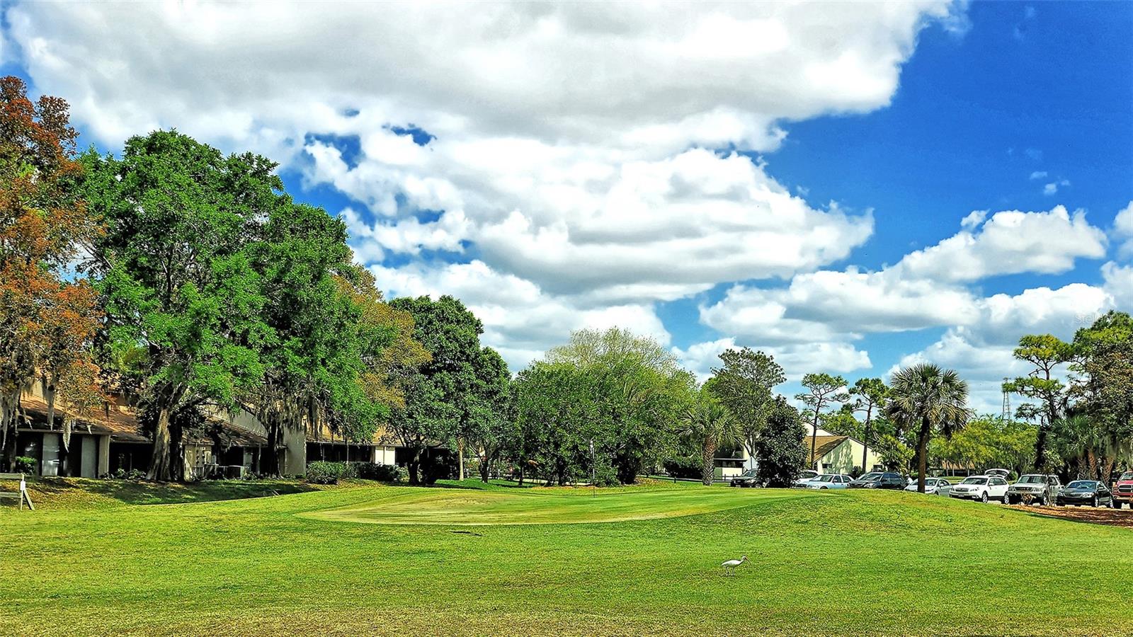 Image 58 of 98 For 712 White Pine Tree Road 77