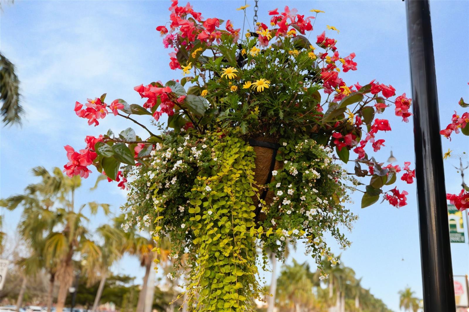 Image 73 of 76 For 1016 Scherer Way