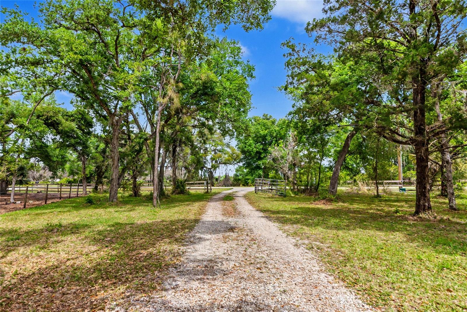 Listing photo id 57 for 32098 Singletary Road