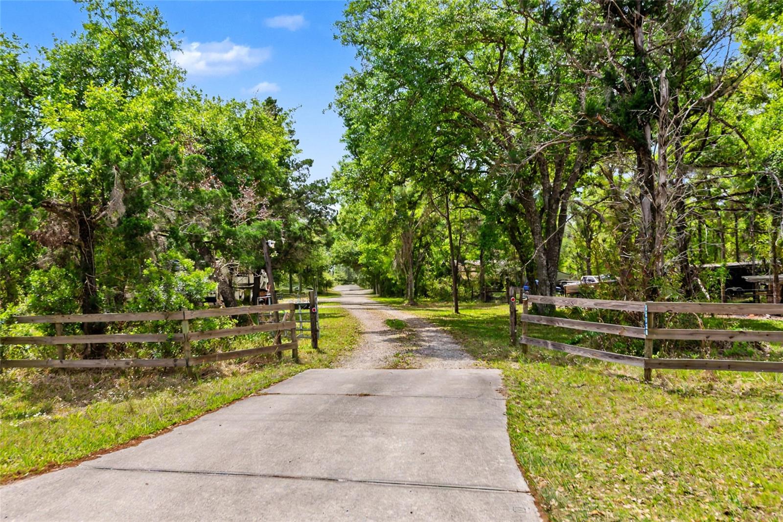 Listing photo id 58 for 32098 Singletary Road