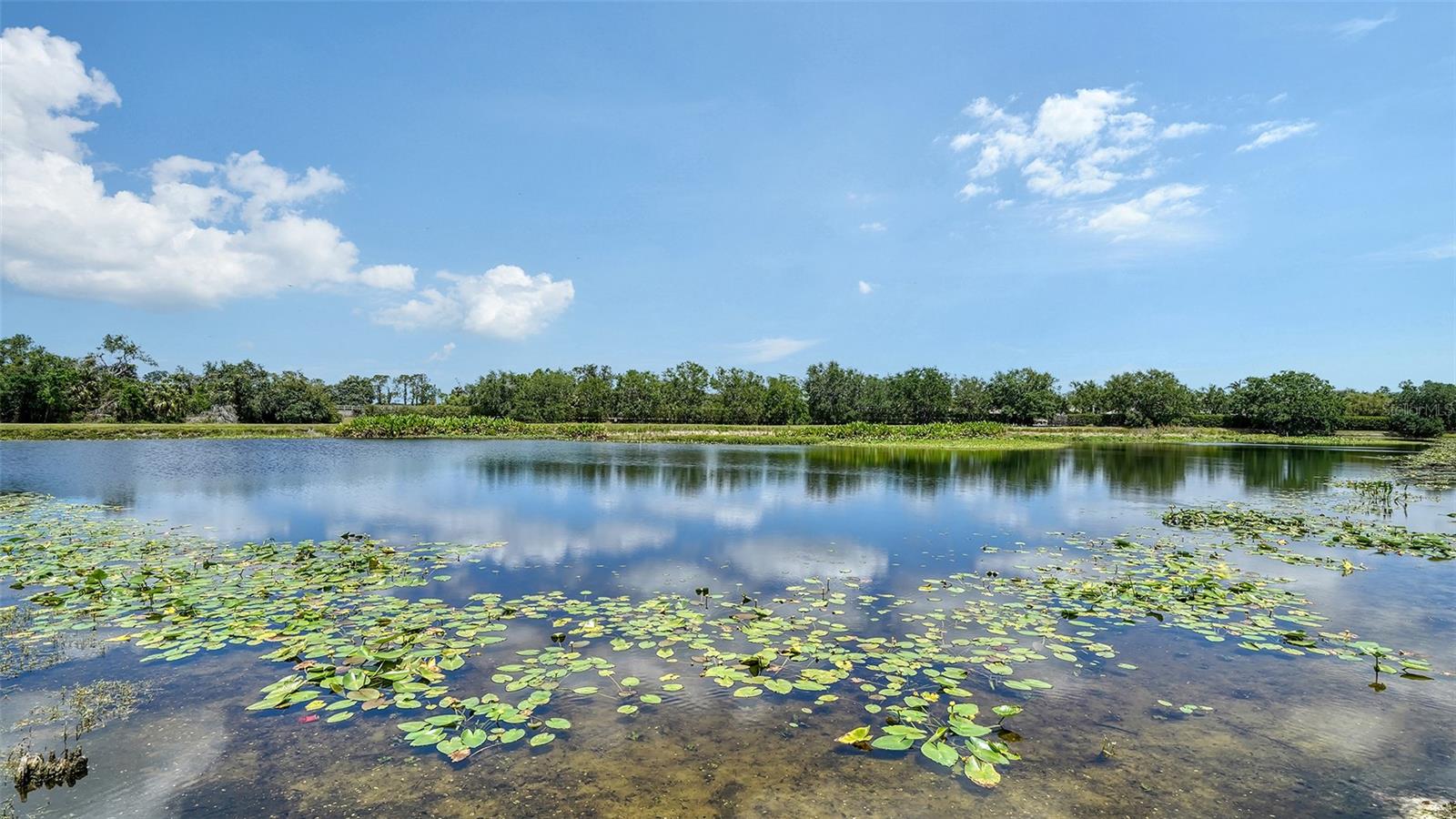 Image 36 of 69 For 5939 Sandstone Avenue