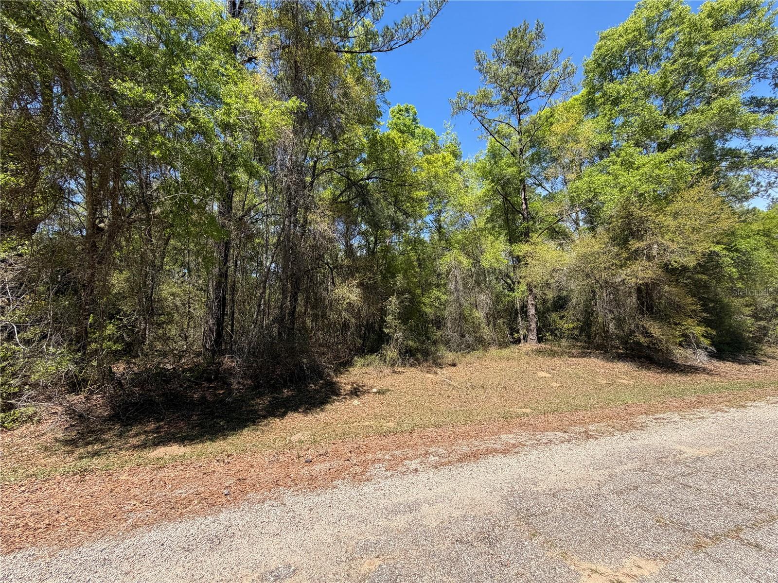 Details for 8512 Escobar Road, DUNNELLON, FL 34434