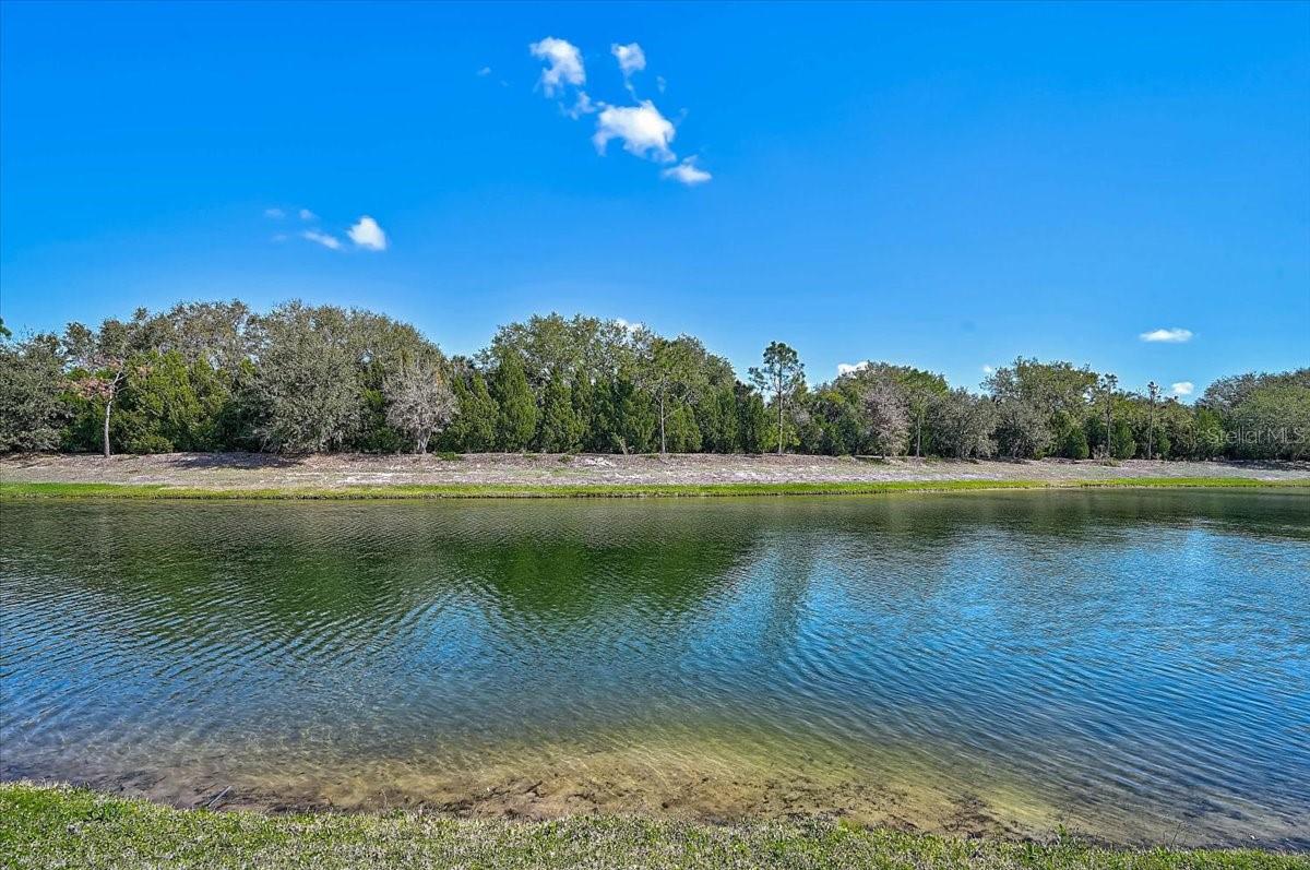 Image 33 of 38 For 14911 Castle Park Terrace