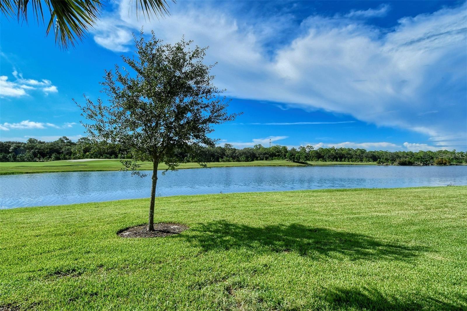 Image 45 of 63 For 5537 Palmer Circle 201