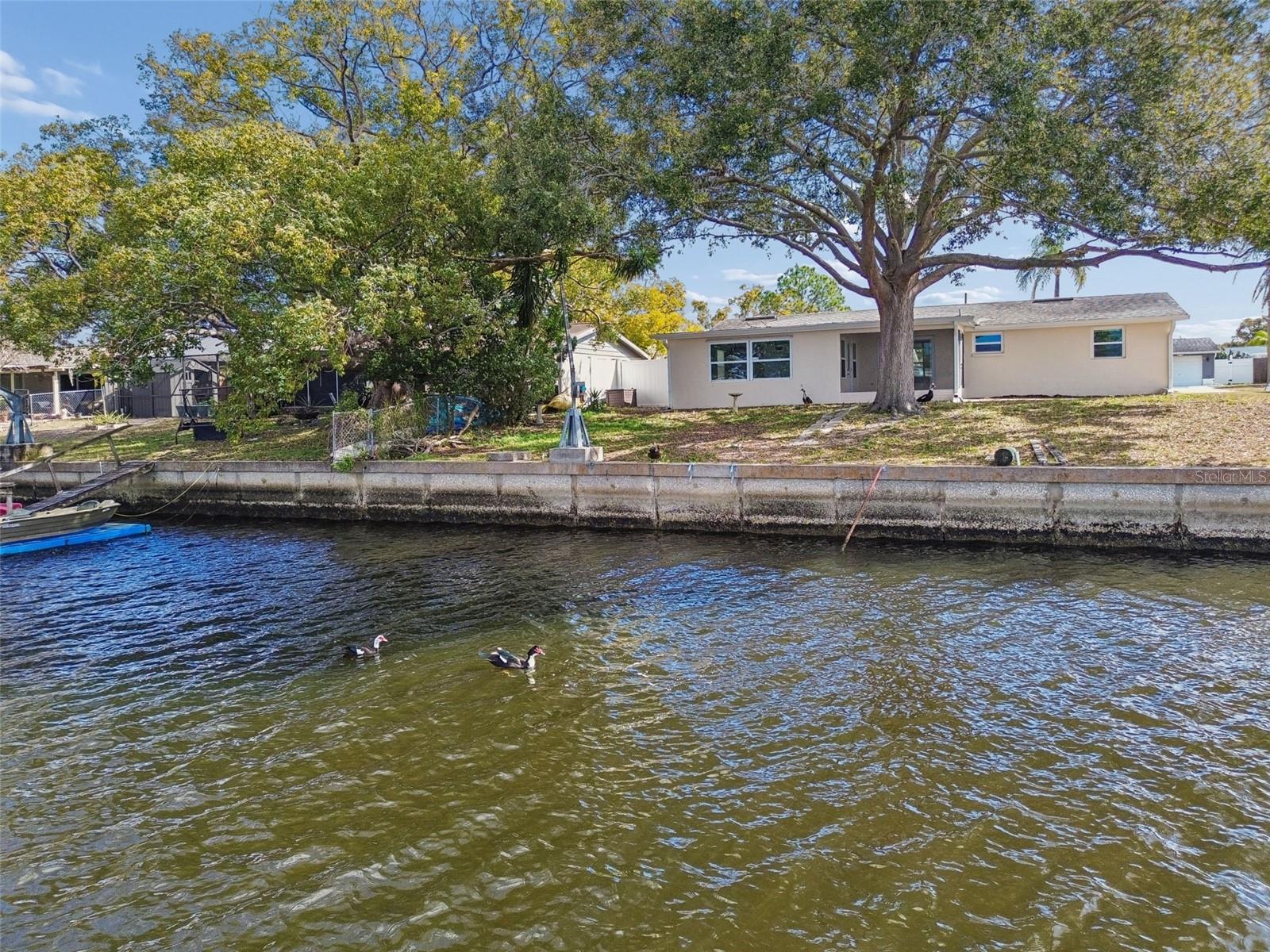 Listing photo id 59 for 1147 Rushmore Drive