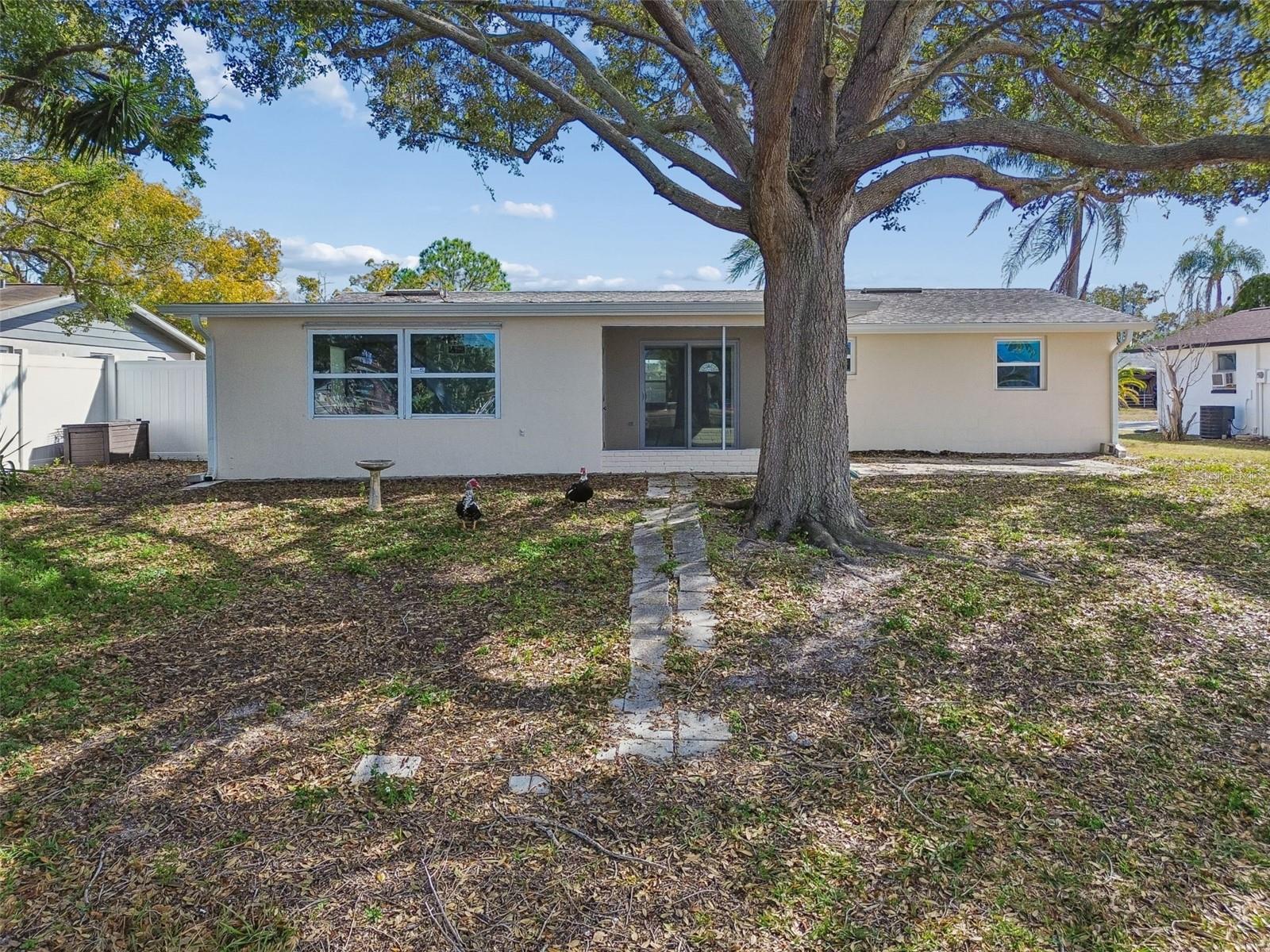 Listing photo id 62 for 1147 Rushmore Drive