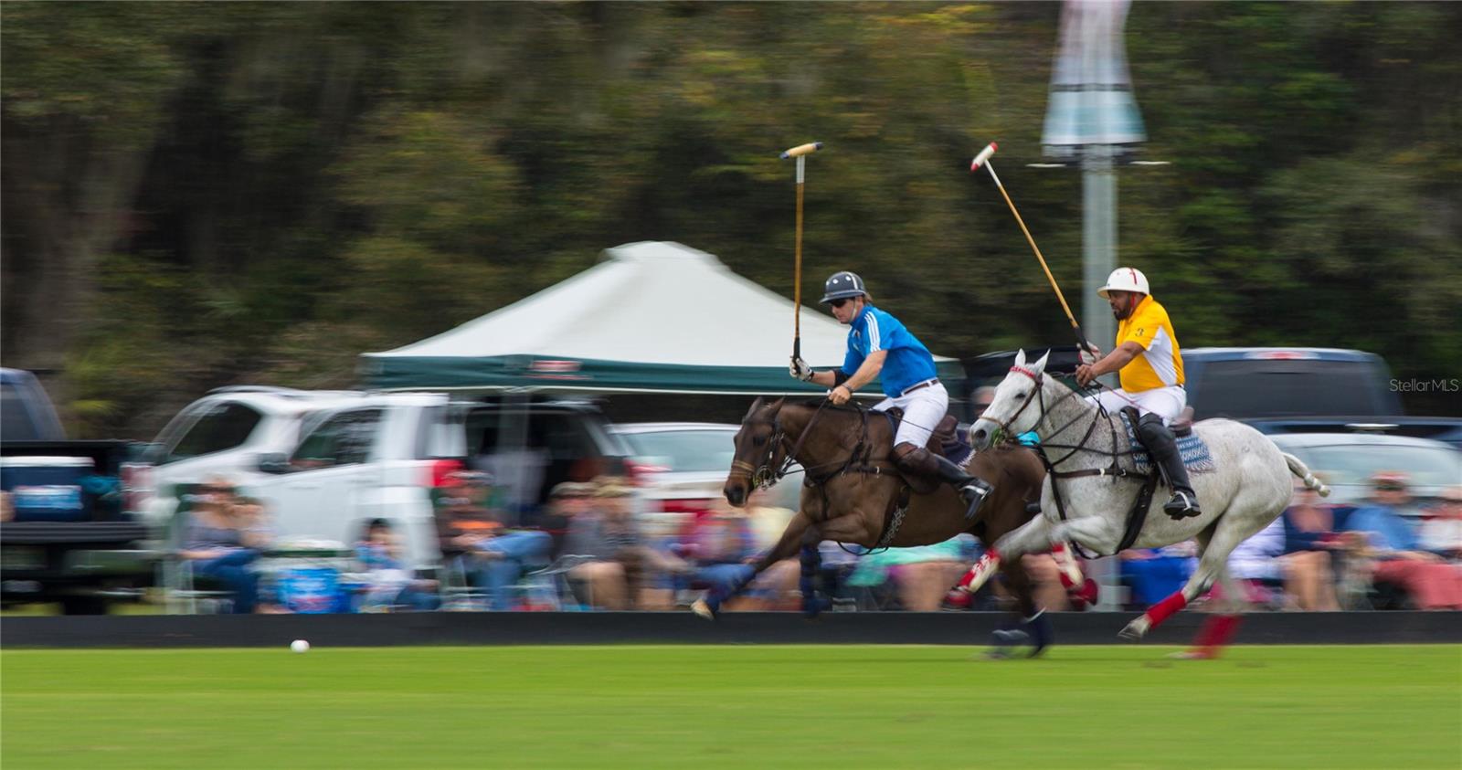 Image 72 of 76 For 15719 Seaton Place