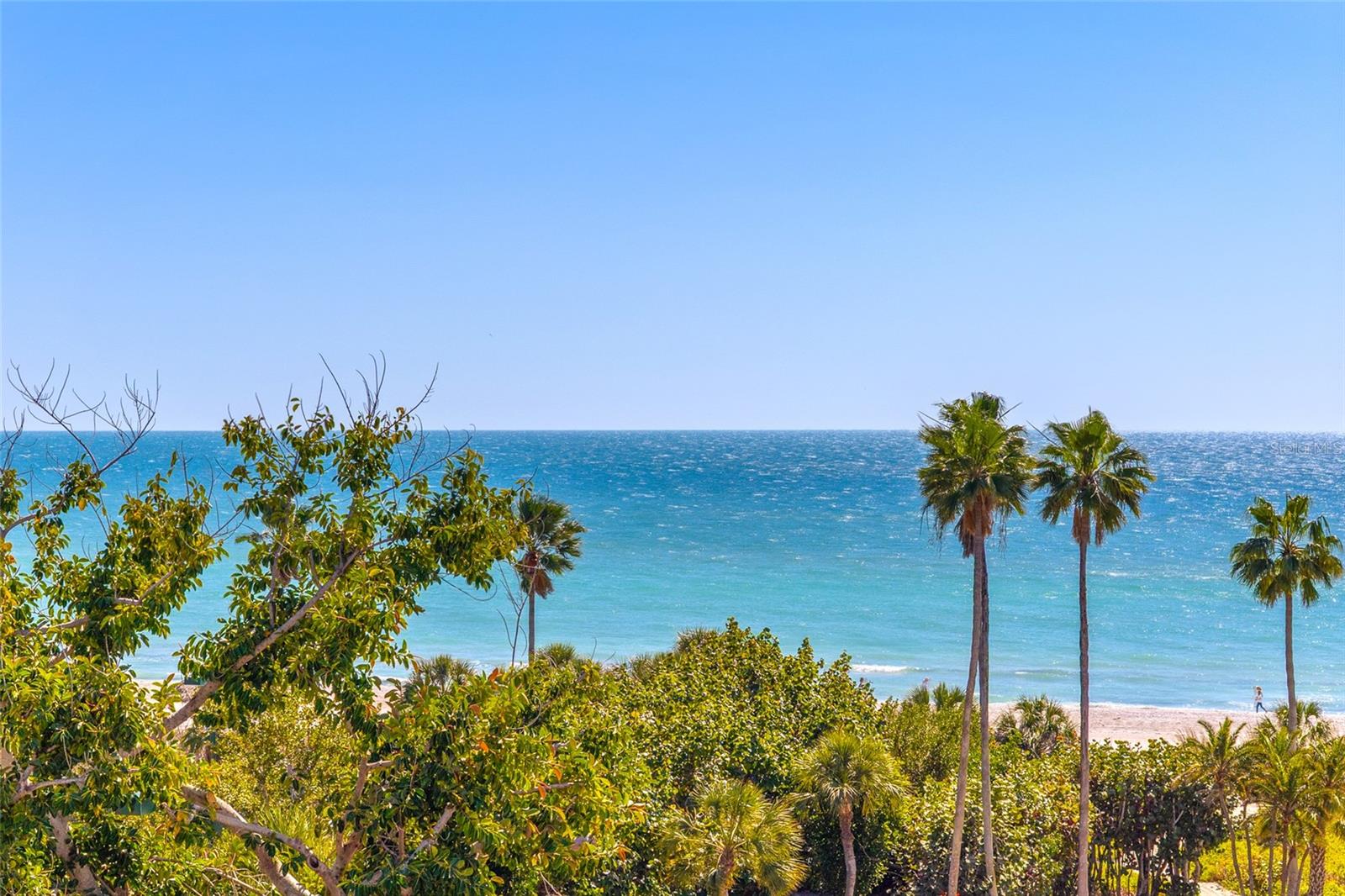 Image 55 of 72 For 1445 Gulf Of Mexico Drive 501