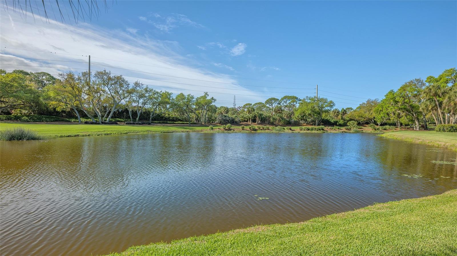 Image 45 of 55 For 434 Macewen Drive