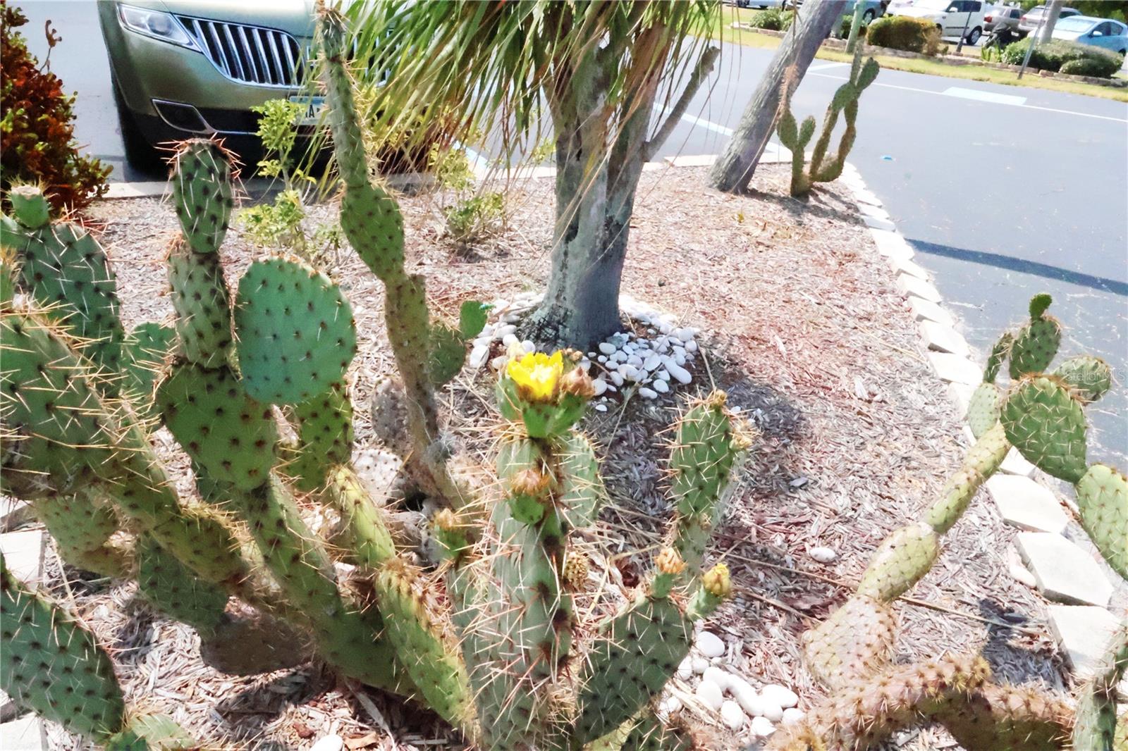 Image 15 of 21 For 4154 Heron Way 203b