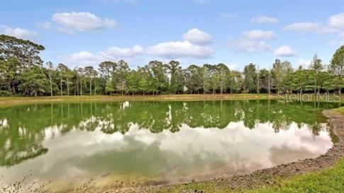 Image 32 of 40 For 8128 Villa Grande Court