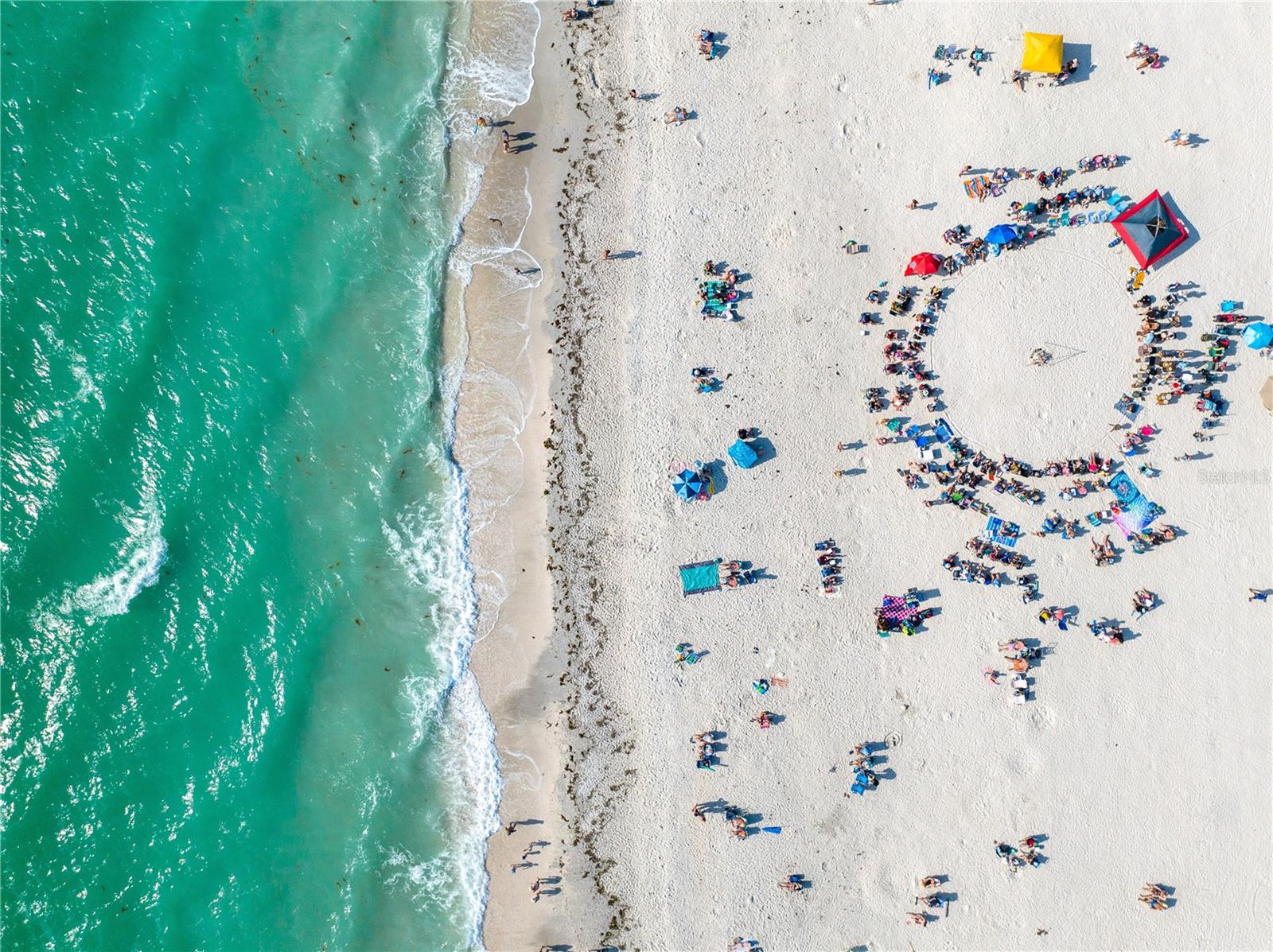 Image 31 of 48 For 5636 Cantucci Street