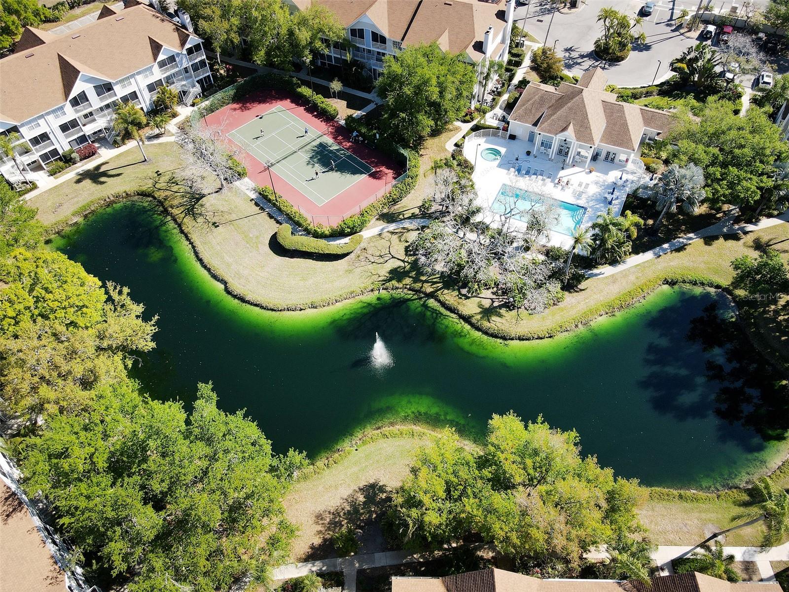 Image 27 of 36 For 850 Tamiami Trail 831