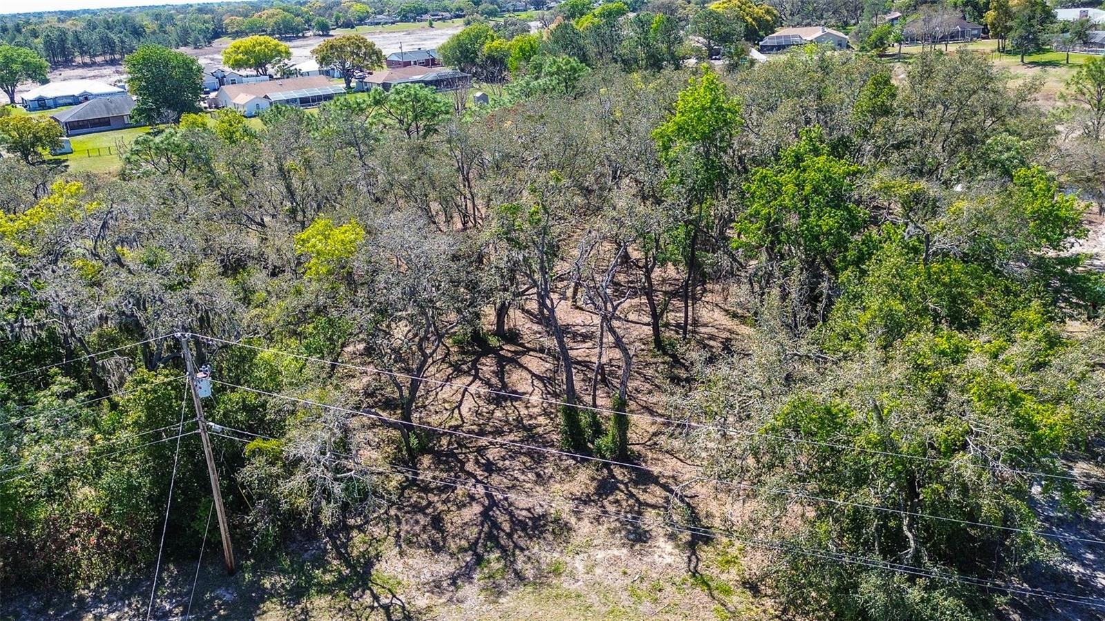 Image 11 of 20 For 8362 Eric Street