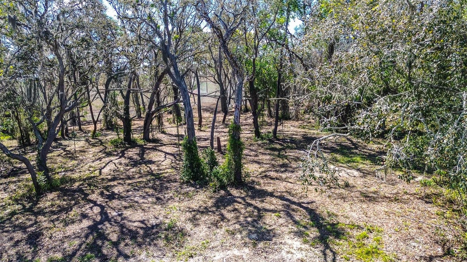 Image 13 of 20 For 8362 Eric Street