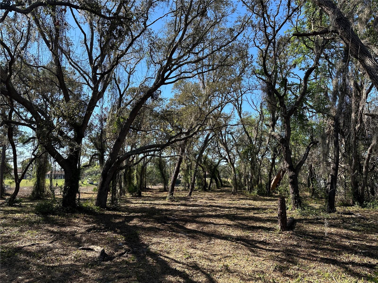 Image 14 of 20 For 8362 Eric Street