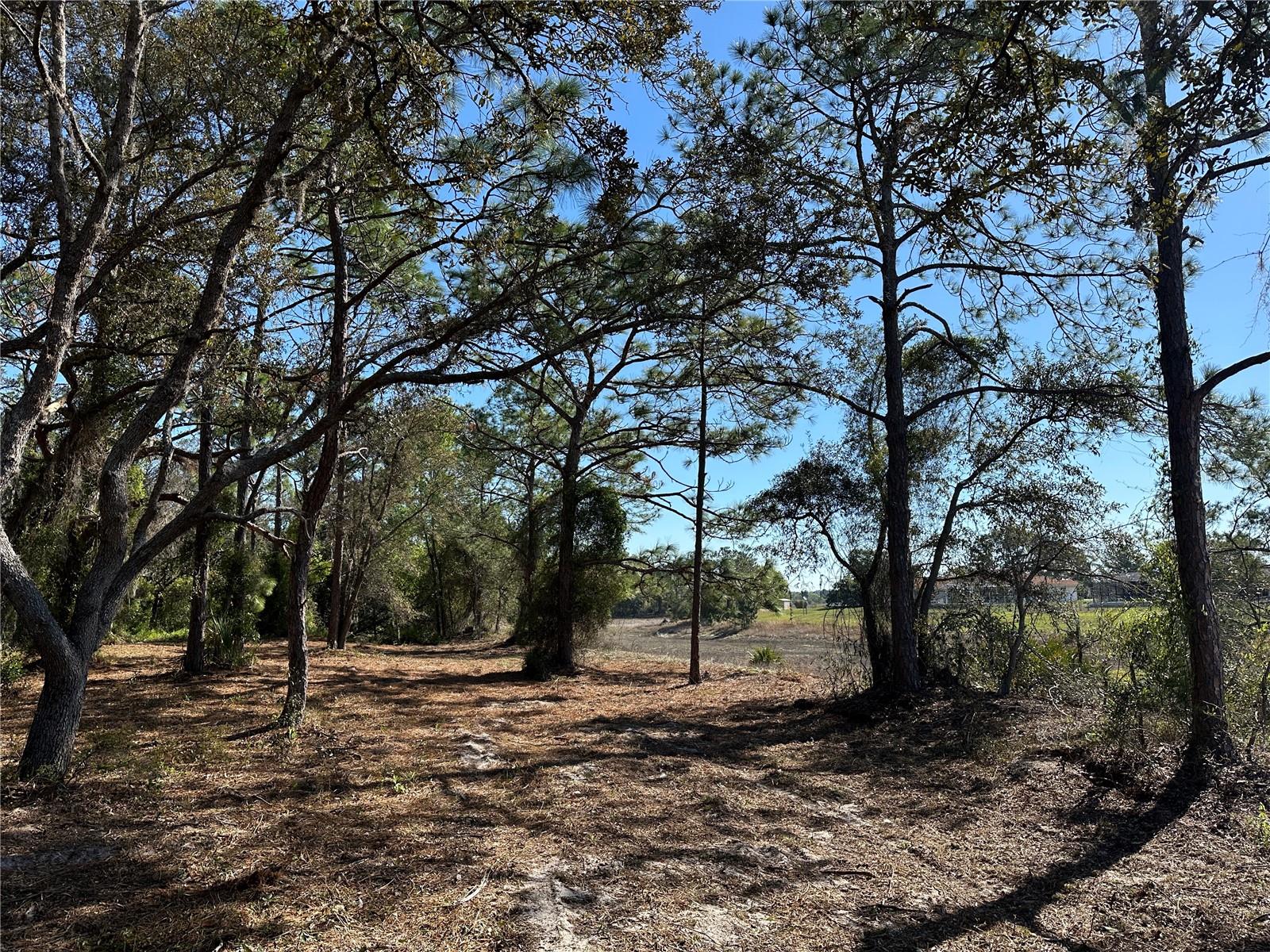 Image 15 of 20 For 8362 Eric Street