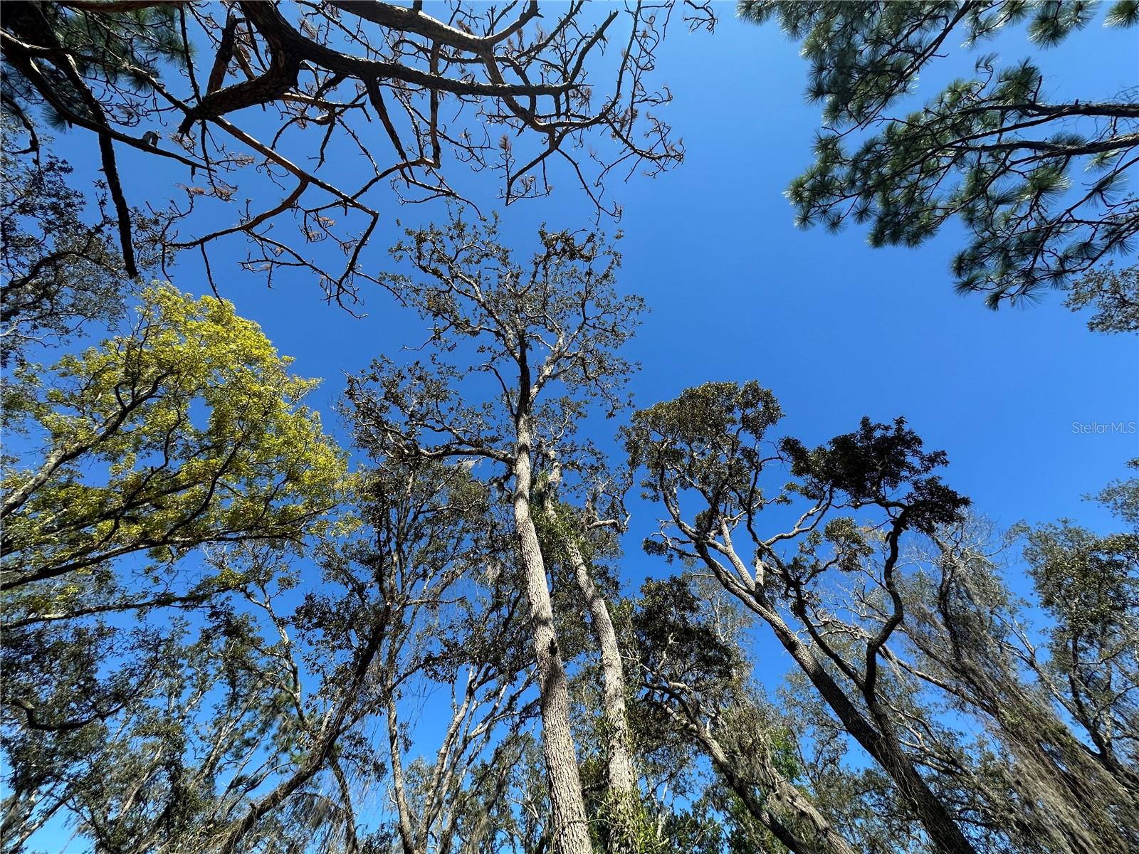 Image 16 of 20 For 8362 Eric Street