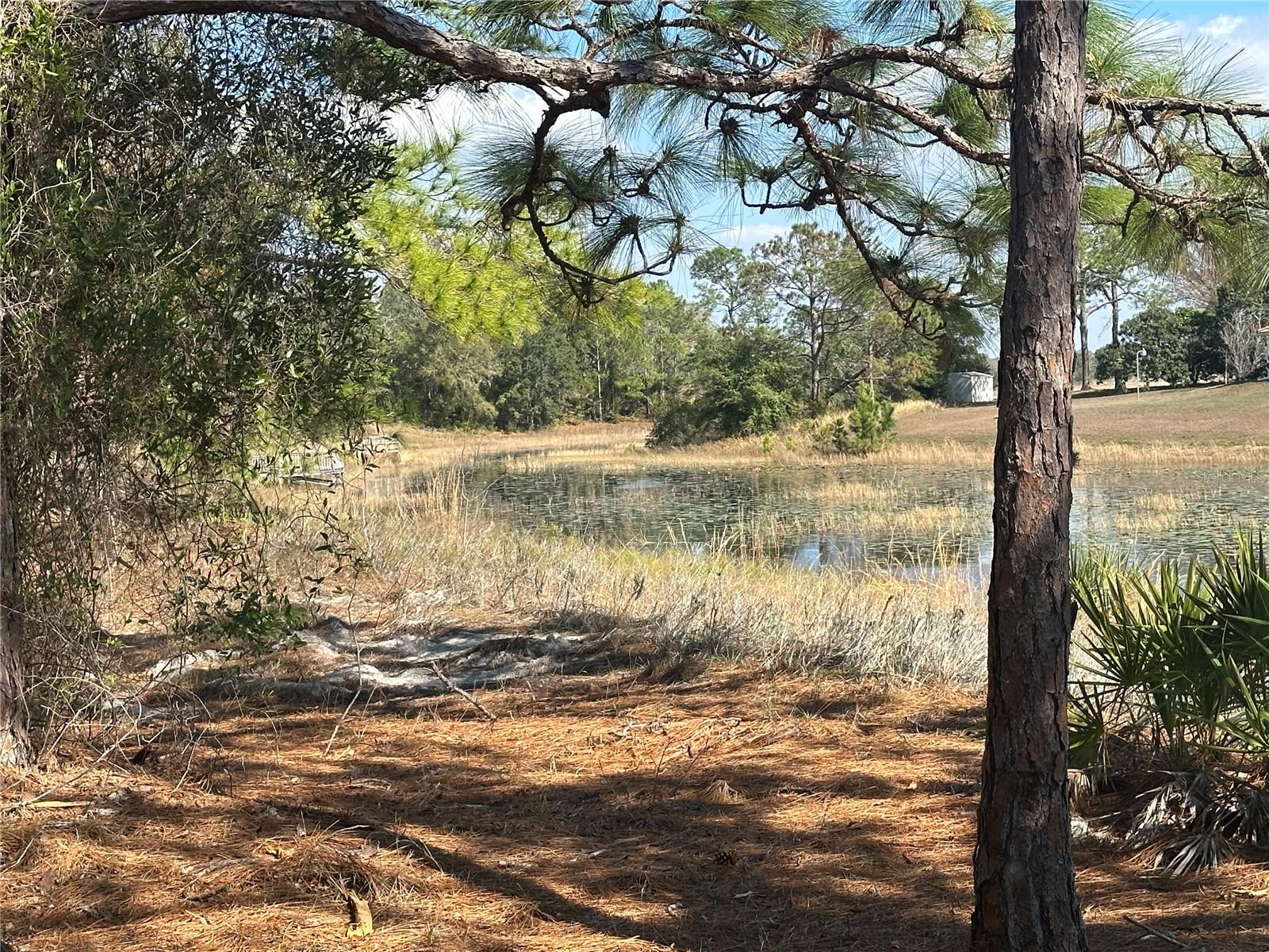 Image 17 of 20 For 8362 Eric Street