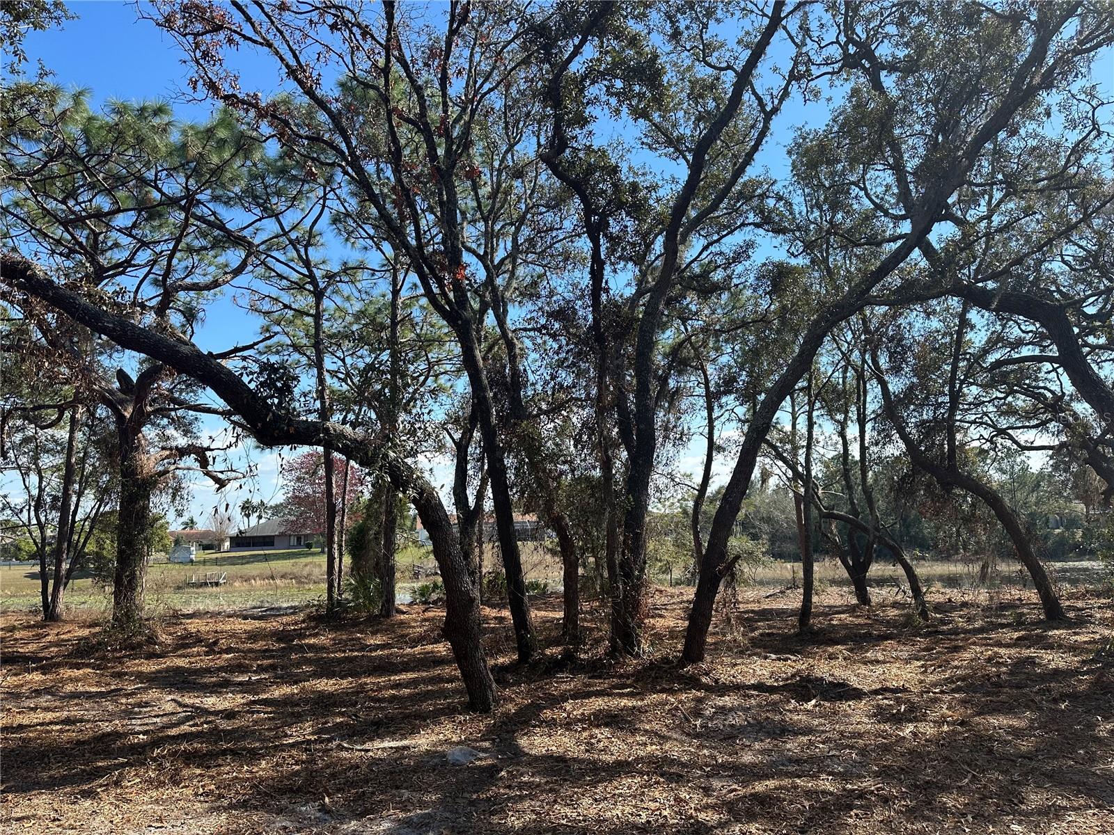 Image 5 of 20 For 8362 Eric Street