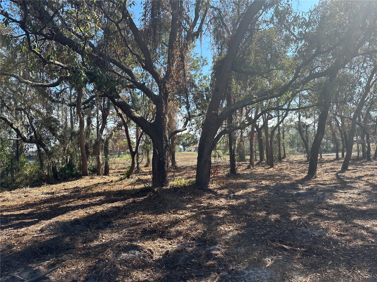 Image 6 of 20 For 8362 Eric Street