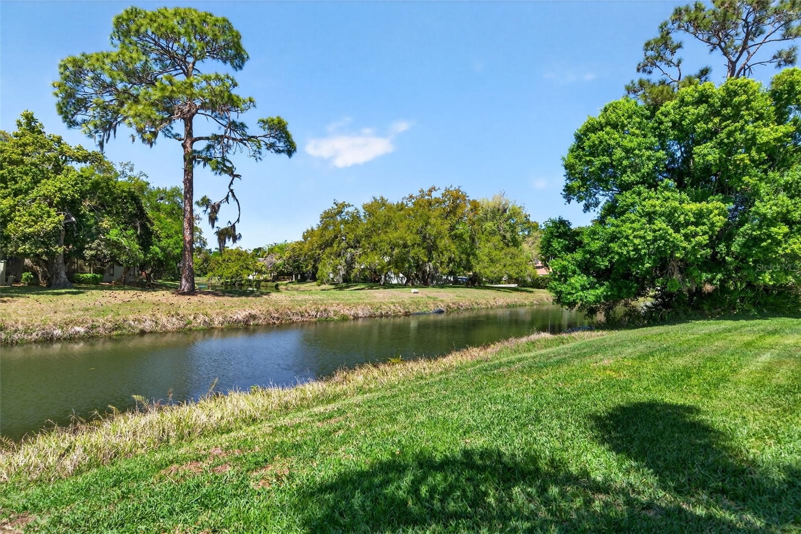 Image 62 of 75 For 4964 Candlebush Circle