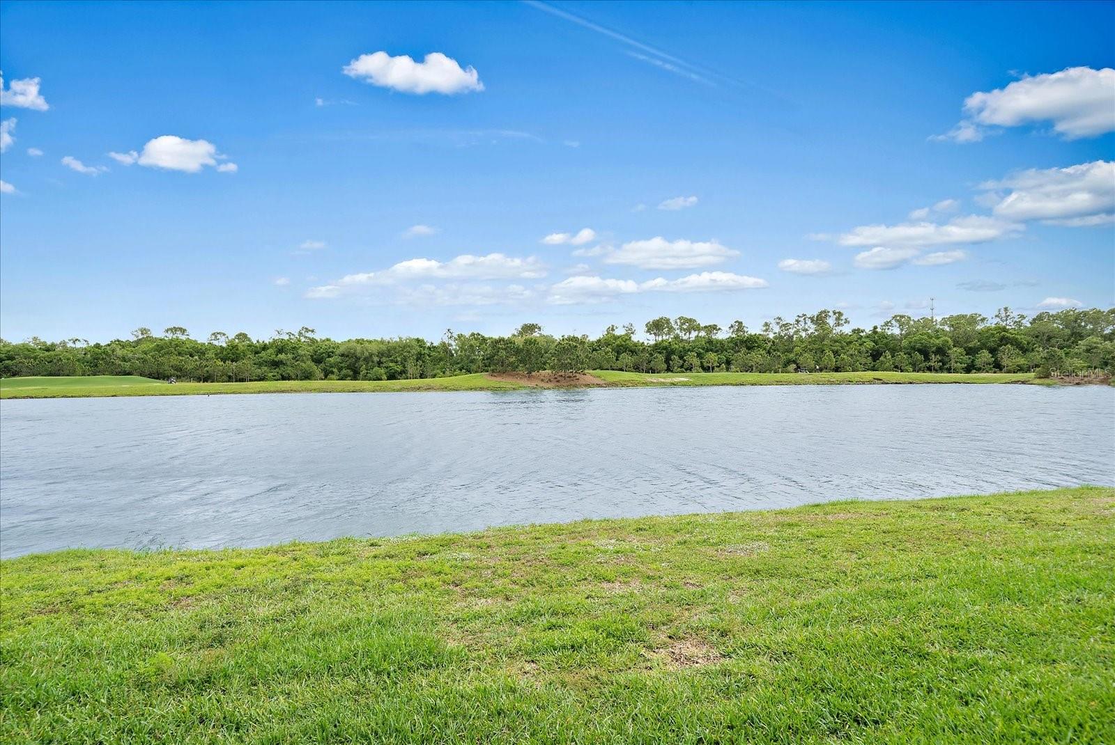 Image 28 of 52 For 16814 Vardon Terrace 106